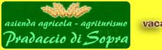 Clicca qui!